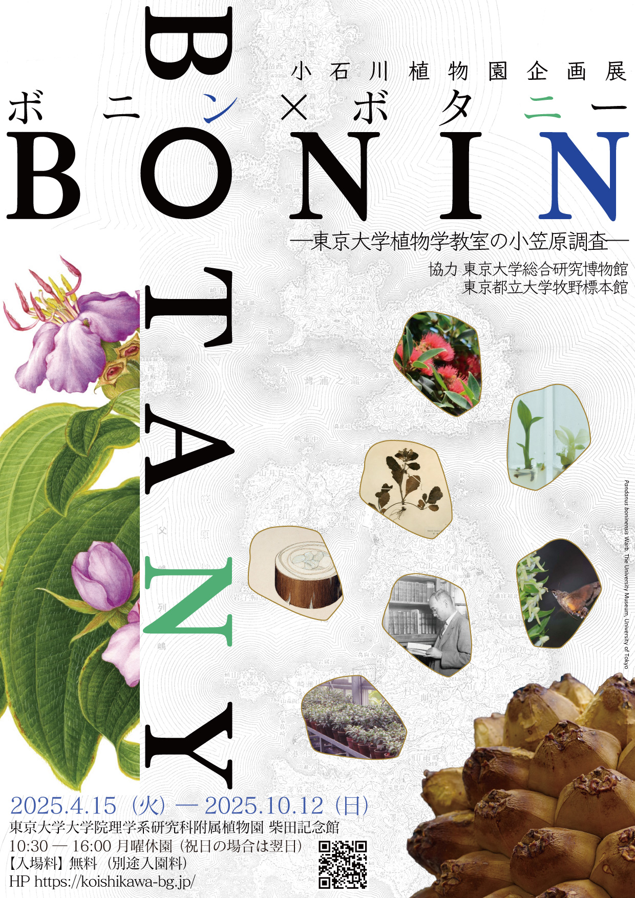 Bonin ✕ Botany ー東京大学植物学教室の小笠原調査ー