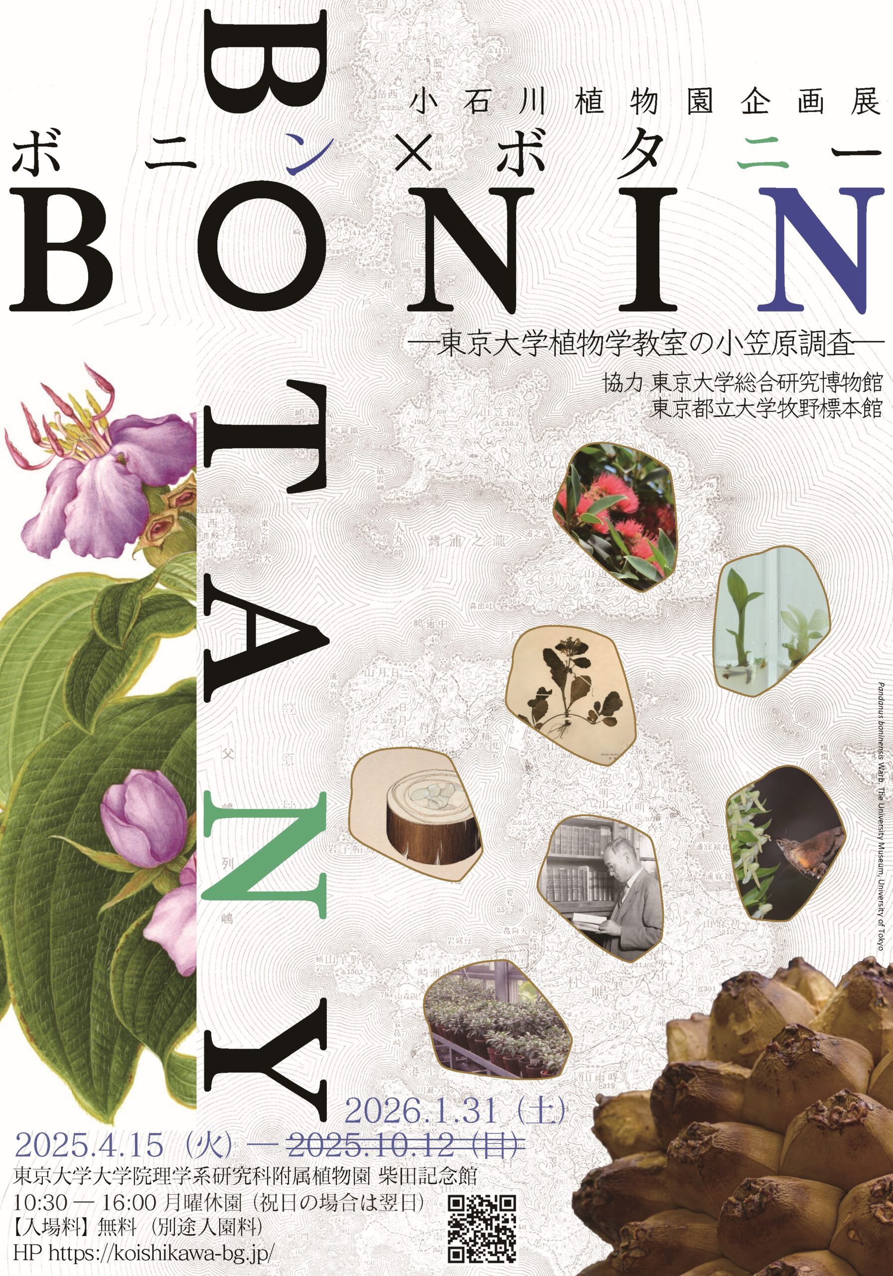 企画展】Bonin ✕ Botany ー東京大学植物学教室の小笠原調査ー
